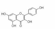 Kaempferol